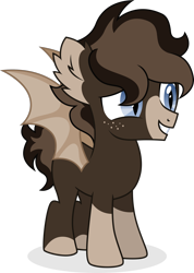 Size: 1600x2241 | Tagged: safe, artist:cirillaq, imported from derpibooru, oc, oc only, oc:onyx, bat pony, pony, colt, male, simple background, solo, transparent background, vector