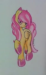 Size: 598x960 | Tagged: safe, artist:matmax426, imported from derpibooru, oc, oc only, pegasus, pony, female, mare, solo