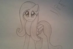 Size: 714x479 | Tagged: safe, artist:enviaart, artist:envygirl95, imported from derpibooru, fluttershy, pegasus, pony, female, gray background, grayscale, looking at you, mare, monochrome, pencil drawing, signature, simple background, solo, traditional art