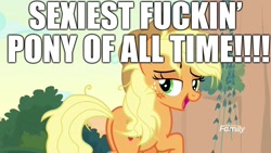 Size: 1920x1080 | Tagged: safe, edit, edited screencap, imported from derpibooru, screencap, applejack, pony, sounds of silence, applebutt, butt, cute, excessive exclamation marks, female, image macro, lidded eyes, meme, messy mane, peaks of peril, plot, sexy, solo, stupid sexy applejack, text, truth, vulgar