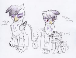 Size: 2248x1721 | Tagged: safe, artist:dilarus, deleted from derpibooru, imported from derpibooru, gilda, rainbow dash, griffon, pegasus, pony, colored, dialogue, dweeb, simple background, size difference, smol, smoldash, traditional art, white background