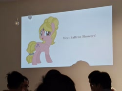 Size: 4032x3016 | Tagged: safe, imported from derpibooru, photographer:horsesplease, oc, oc:saffron showers, human, female, malaysia, mare, project saffron, the friendship express