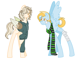 Size: 3232x2512 | Tagged: safe, artist:musicbetmlp, imported from derpibooru, oc, oc:skychaser, oc:thunder storm, pegasus, pony, brothers, clothes, duo, half-siblings, hoodie, interdimensional siblings, male, offspring, parent:dumbbell, parent:flash sentry, parent:lightning dust, parents:flashdust, parents:lightningbell, scarf, simple background, white background