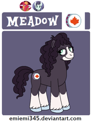 Size: 479x630 | Tagged: safe, artist:emiemi345, imported from derpibooru, oc, oc only, oc:meadow, earth pony, pony, blaze (coat marking), coat markings, facial markings, female, mare, offspring, parent:big macintosh, parent:coloratura, parents:raramac, reference sheet, socks (coat marking), socks (coat markings), solo, unshorn fetlocks