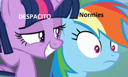 Size: 886x535 | Tagged: safe, imported from derpibooru, rainbow dash, twilight sparkle, alicorn, caption, dead meme, despacito, exploitable meme, image macro, text, twilight sparkle (alicorn)