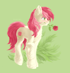 Size: 2900x3020 | Tagged: safe, artist:winternight2015, imported from derpibooru, roseluck, pony, chest fluff, commissioner:doom9454, cute, ear fluff, female, flower, flower in mouth, fluffy, mouth hold, rose, simple background, solo