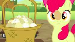 Size: 1440x809 | Tagged: safe, imported from derpibooru, screencap, apple bloom, earth pony, pony, brotherhooves social, balancing, basket, cute, egg, female, filly, foal, ponies balancing stuff on their nose, solo