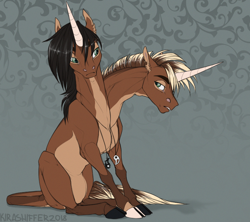 Size: 844x750 | Tagged: safe, artist:dementra369, imported from derpibooru, oc, oc only, oc:andy & sam, pony, unicorn, brothers, cloven hooves, conjoined, conjoined twins, jewelry, leonine tail, male, multiple heads, pendant, sitting, stallion, two heads, yin-yang