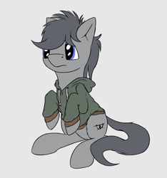 Size: 1276x1366 | Tagged: safe, artist:shaliwolf, imported from derpibooru, oc, oc only, unnamed oc, pony, clothes, hoodie, solo, wingless