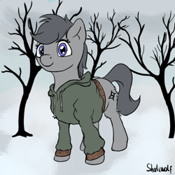 Size: 808x808 | Tagged: safe, artist:shaliwolf, imported from derpibooru, oc, oc only, unnamed oc, pony, clothes, hoodie, looking at you, solo, wingless, winter