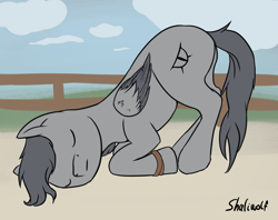 Size: 1871x1483 | Tagged: safe, artist:shaliwolf, imported from derpibooru, oc, oc only, unnamed oc, pony, bracelet, cloud, fence, jewelry, sleeping, solo