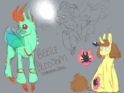 Size: 1280x960 | Tagged: safe, artist:cosmic-horse, artist:cosmichorse, imported from derpibooru, oc, oc only, oc:beetle blossom, beetle, bug pony, changedling, changeling, insect, pony, bugpony, changedling oc, changeling oc, insect wings, reference, simple background, solo