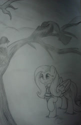 Size: 1024x1578 | Tagged: safe, artist:enviaart, artist:envygirl95, imported from derpibooru, fluttershy, bird, pegasus, pony, clothes, female, monochrome, scarf, solo, traditional art, tree, tree branch, winter