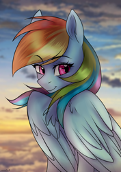 Size: 2894x4093 | Tagged: safe, artist:chickenbrony, artist:cottonaime, imported from derpibooru, rainbow dash, pegasus, pony, cloud, eyebrows, eyebrows visible through hair, female, large wings, solo, wings