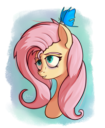 Size: 789x967 | Tagged: safe, artist:hc0, imported from derpibooru, fluttershy, butterfly, pony, bags under eyes, bust, eyebrows, female, mare, portrait, sitting on head, sleepy, solo, three quarter view