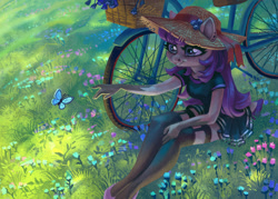 Size: 1280x919 | Tagged: safe, artist:holivi, imported from derpibooru, oc, oc only, anthro, butterfly, plantigrade anthro, anthro oc, bicycle, clothes, female, grass, hat, mare, sitting, smiling, stockings, thigh highs