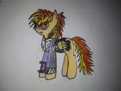 Size: 4160x3120 | Tagged: safe, artist:furaitunasu, imported from derpibooru, oc, oc only, oc:death phoenix, pony, solo, traditional art