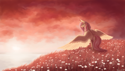 Size: 2560x1440 | Tagged: safe, artist:floverale-hellewen, imported from derpibooru, fluttershy, pegasus, pony, female, field, flower field, looking away, mare, outdoors, signature, solo, spread wings, standing, sunset, wings