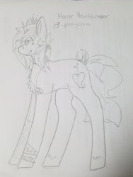 Size: 4032x3024 | Tagged: safe, artist:php115, artist:shoto, derpibooru exclusive, imported from derpibooru, oc, oc only, oc:horror heartbreaker, pony, 3oh!3, blood on the dance floor, bow, choker, coontails, crown, femboy, fishnets, jewelry, male, mindless self indulgence, monochrome, necklace, ponysona, regalia, scene kid, solo, stallion, tail bow, traditional art, trans boy, trans male, transgender