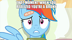 Size: 888x499 | Tagged: safe, edit, edited screencap, imported from derpibooru, screencap, rainbow dash, read it and weep, book, caption, image macro, pillow, realization, text, welcome to the herd