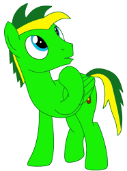 Size: 847x1140 | Tagged: safe, artist:didgereethebrony, imported from derpibooru, oc, oc only, oc:didgeree, pegasus, pony, base used, male, needs more saturation, simple background, solo, stallion, transparent background