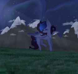 Size: 1200x1136 | Tagged: safe, artist:itsderix, imported from derpibooru, oc, oc only, pegasus, pony, female, mare, night, solo