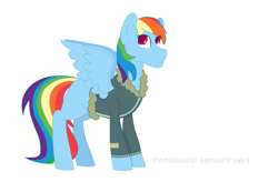 Size: 3944x2592 | Tagged: safe, artist:moonlightnote, imported from derpibooru, rainbow dash, pegasus, pony, bomber jacket, clothes, female, jacket, simple background, solo, white background