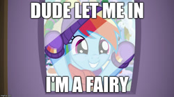 Size: 888x499 | Tagged: safe, edit, edited screencap, imported from derpibooru, screencap, rainbow dash, pony, best gift ever, :d, caption, clothes, cute, dashabetes, dude let me in, glass, i'm a fairy, image macro, imgflip, impact font, meme, scarf, smiling, text, window, winter