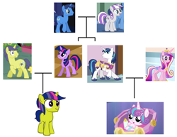 Size: 1984x1528 | Tagged: safe, artist:3d4d, imported from derpibooru, comet tail, night light, princess cadance, princess flurry heart, shining armor, twilight sparkle, twilight velvet, oc, pony, cometlight, family, family tree, female, male, nightvelvet, offspring, parent:comet tail, parent:twilight sparkle, parents:cometlight, shiningcadance, shipping, straight