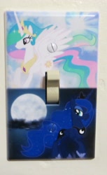 Size: 1117x1823 | Tagged: safe, imported from derpibooru, princess celestia, princess luna, alicorn, pony, irl, light switch, photo