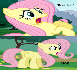 Size: 644x585 | Tagged: safe, edit, edited screencap, editor:logan jones, imported from derpibooru, screencap, fluttershy, pegasus, pony, sonic rainboom (episode), bait and switch, boi, crossing the memes, female, flutteryay, inhaling, meme, reaction image, solo, subverted meme, wrong aspect ratio, yay