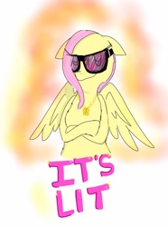 Size: 697x938 | Tagged: safe, artist:eeveelutionlova, artist:princessmuffinart, imported from derpibooru, fluttershy, pegasus, pony, fake it 'til you make it, fire, sunglasses
