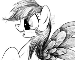 Size: 1280x1024 | Tagged: safe, artist:dsana, imported from derpibooru, rainbow dash, pegasus, pony, female, ink drawing, inktober, mare, monochrome, open mouth, raised hoof, simple background, sketch, smiling, solo, spread wings, traditional art, white background, wings