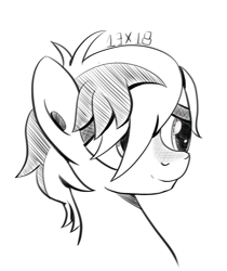 Size: 1044x1242 | Tagged: safe, artist:dsana, imported from derpibooru, sandbar, earth pony, pony, bust, ink drawing, inktober, male, monochrome, simple background, sketch, smiling, solo, teenager, traditional art, white background