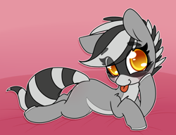 Size: 1280x985 | Tagged: safe, artist:lockheart, imported from derpibooru, oc, oc only, oc:bandy cyoot, pony, raccoon pony, blushing, colored hooves, cute, eye clipping through hair, eyebrows, eyebrows visible through hair, female, leg fluff, looking at you, ocbetes, pale belly, prone, solo, striped tail, tongue out