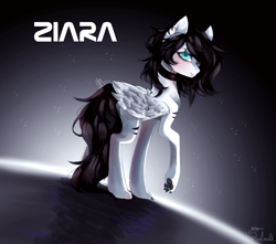 Size: 2838x2514 | Tagged: safe, artist:huirou, imported from derpibooru, oc, oc only, oc:ziara, pegasus, pony, female, mare, solo