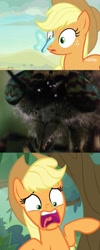 Size: 1008x2528 | Tagged: safe, edit, edited screencap, imported from derpibooru, screencap, applejack, butterfly, earth pony, fly, insect, pony, sounds of silence, close-up, crossover, female, hat, mare, meme, nickelodeon, open mouth, parody, scared, screaming, spongebob squarepants, wormy