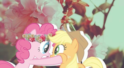 Size: 540x297 | Tagged: artist needed, safe, edit, edited edit, edited screencap, imported from derpibooru, screencap, applejack, pinkie pie, applepie, cute, female, lesbian, love, shipping