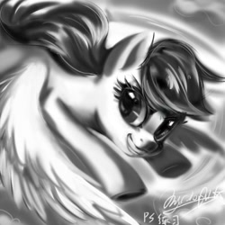 Size: 1000x1000 | Tagged: safe, artist:colorfulcolor233, artist:oofycolorful, imported from derpibooru, rainbow dash, pegasus, pony, female, monochrome, solo