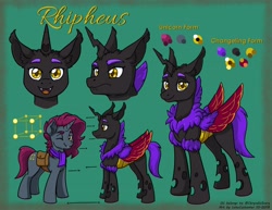 Size: 3300x2550 | Tagged: safe, artist:latecustomer, imported from derpibooru, oc, oc only, oc:rhipheus, changeling, annoyed, changeling oc, chest fluff, crystal lattice, cutie mark, disguise, disguised changeling, fluffy changeling, male, one eye closed, reference sheet, smiling, solo, wink