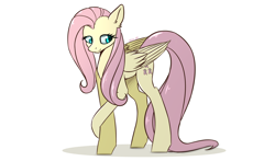 Size: 2500x1468 | Tagged: safe, artist:kirasunnight, imported from derpibooru, fluttershy, pegasus, pony, female, mare, simple background, solo, white background