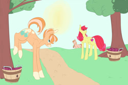 Size: 1024x683 | Tagged: safe, artist:pugasart, imported from derpibooru, apple bloom, oc, oc:cherry berry, oc:lullaby, earth pony, pony, apple, applebucking, bow, bucket, coat markings, cutie mark, female, food, male, offspring, older, older apple bloom, parent:big macintosh, parent:fluttershy, parents:fluttermac, pigtails, story included, sweet apple acres, tail bow, the cmc's cutie marks, twintails