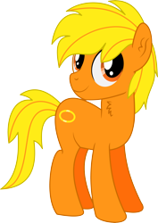 Size: 3551x5020 | Tagged: safe, artist:cyanlightning, imported from derpibooru, oc, oc only, oc:boon, earth pony, pony, 2019 community collab, derpibooru community collaboration, .svg available, absurd resolution, chest fluff, ear fluff, male, simple background, solo, stallion, transparent background, vector