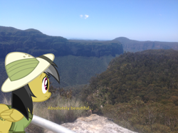 Size: 1002x748 | Tagged: safe, artist:didgereethebrony, imported from derpibooru, daring do, pony, blue mountains, cliff, didgeree collection, irl, lookout, mlp in australia, photo, ponies in real life, solo, valley