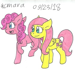 Size: 893x833 | Tagged: safe, artist:cmara, imported from derpibooru, fluttershy, pinkie pie, pony, traditional art