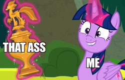 Size: 849x540 | Tagged: safe, edit, edited screencap, imported from derpibooru, screencap, twilight sparkle, alicorn, pony, surf and/or turf, caption, female, image macro, lip bite, mare, meme, smiling, solo, text, trophy, twilight sparkle (alicorn)