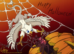 Size: 989x723 | Tagged: safe, artist:omny87, imported from derpibooru, oc, oc only, oc:der, griffon, spider, halloween, holiday, male, micro, pumpkin, spider web