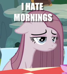 Size: 798x884 | Tagged: safe, edit, edited screencap, imported from derpibooru, screencap, pinkie pie, earth pony, pony, yakity-sax, caption, depressed, female, image macro, impact font, mare, meme, morning ponies, pinkamena diane pie, solo, text