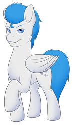 Size: 1213x2080 | Tagged: safe, artist:nudeknightart, imported from derpibooru, oc, oc only, oc:dreamy daze, pegasus, pony, 2019 community collab, derpibooru community collaboration, male, simple background, solo, stallion, transparent background