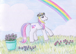 Size: 1024x727 | Tagged: safe, artist:normaleeinsane, imported from derpibooru, dainty dove (g2), pony, female, flower, g2, grass, rainbow, solo, traditional art